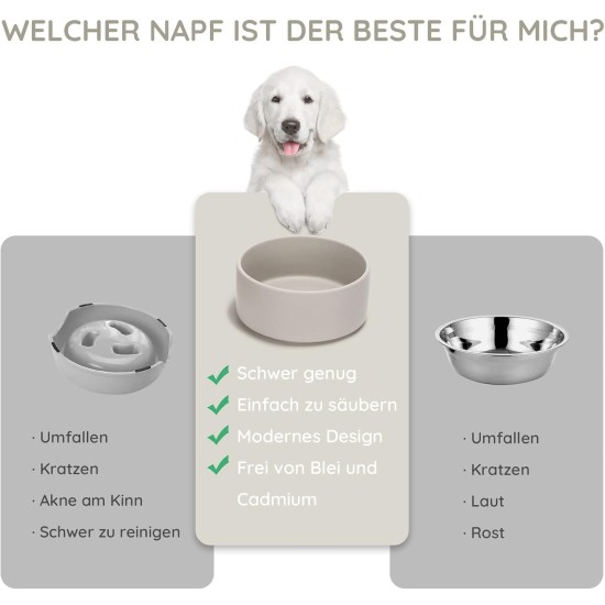 SPUNKYJUNKY Ceramic Double Dog Feeding Bowl with Bamboo Stand, for Cats and Dogs (400 ml, Grey 2) SPUNKYJUNKY Ceramic Double Dog Feeding Bowl with Bamboo Stand, for Cats and Dogs (400 ml, Grey 2)