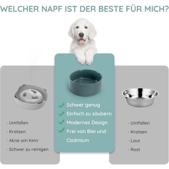 SPUNKYJUNKY Ceramic Double Dog Feeding Bowl with Bamboo Stand, for Cats and Dogs (400 ml, Grey 2) SPUNKYJUNKY Ceramic Double Dog Feeding Bowl with Bamboo Stand, for Cats and Dogs (400 ml, Grey 2)