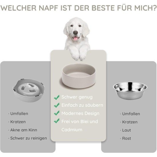SPUNKYJUNKY Ceramic Double Dog Feeding Bowl with Bamboo Stand, for Cats and Dogs (400 ml, Grey 2) SPUNKYJUNKY Ceramic Double Dog Feeding Bowl with Bamboo Stand, for Cats and Dogs (400 ml, Grey 2)