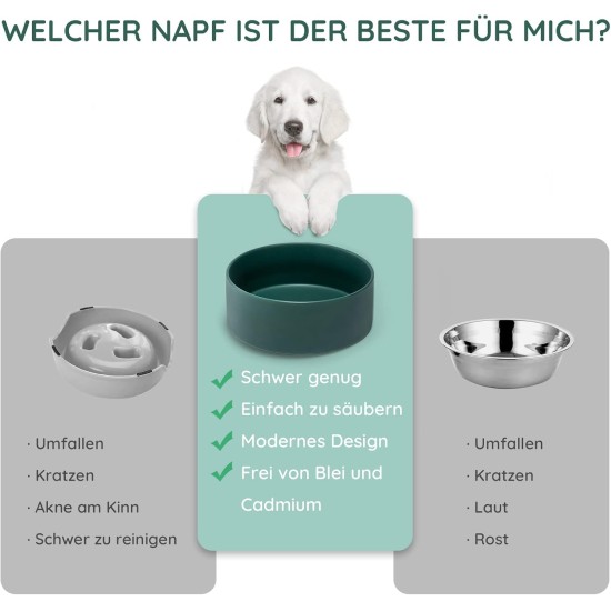 SPUNKYJUNKY Ceramic Double Dog Feeding Bowl with Bamboo Stand, for Cats and Dogs (400 ml, Grey 2) SPUNKYJUNKY Ceramic Double Dog Feeding Bowl with Bamboo Stand, for Cats and Dogs (400 ml, Grey 2)