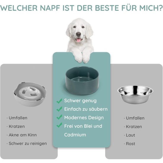 SPUNKYJUNKY Ceramic Double Dog Feeding Bowl with Bamboo Stand, for Cats and Dogs (400 ml, Grey 2) SPUNKYJUNKY Ceramic Double Dog Feeding Bowl with Bamboo Stand, for Cats and Dogs (400 ml, Grey 2)