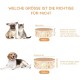 SPUNKYJUNKY Ceramic Double Dog Feeding Bowl with Bamboo Stand, for Cats and Dogs (400 ml, Grey 2) SPUNKYJUNKY Ceramic Double Dog Feeding Bowl with Bamboo Stand, for Cats and Dogs (400 ml, Grey 2)
