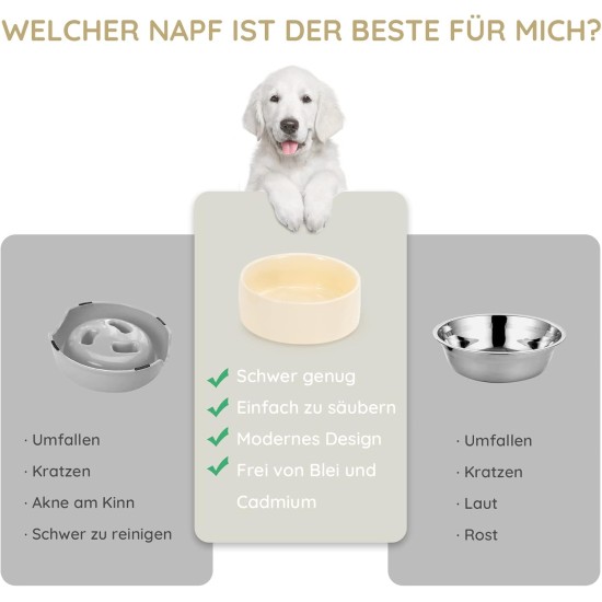 SPUNKYJUNKY Ceramic Double Dog Feeding Bowl with Bamboo Stand, for Cats and Dogs (400 ml, Grey 2) SPUNKYJUNKY Ceramic Double Dog Feeding Bowl with Bamboo Stand, for Cats and Dogs (400 ml, Grey 2)