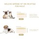 SPUNKYJUNKY Ceramic Double Dog Feeding Bowl with Bamboo Stand, for Cats and Dogs (400 ml, Grey 2) SPUNKYJUNKY Ceramic Double Dog Feeding Bowl with Bamboo Stand, for Cats and Dogs (400 ml, Grey 2)