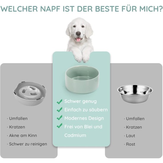 SPUNKYJUNKY Ceramic Double Dog Feeding Bowl with Bamboo Stand, for Cats and Dogs (400 ml, Grey 2) SPUNKYJUNKY Ceramic Double Dog Feeding Bowl with Bamboo Stand, for Cats and Dogs (400 ml, Grey 2)