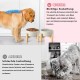 SPUNKYJUNKY Ceramic Raised Dog Bowl Set with Bamboo Stand for Cats and Dogs (400 ml, Grey)