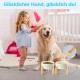SPUNKYJUNKY Ceramic Raised Dog Bowl Set with Bamboo Stand for Cats and Dogs (850 ml, Grey)