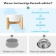 SPUNKYJUNKY Ceramic Raised Dog Bowl Set with Bamboo Stand for Cats and Dogs (850 ml, Grey)