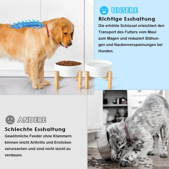SPUNKYJUNKY Ceramic Raised Dog Bowl Set with Bamboo Stand for Cats and Dogs (850 ml, Grey) SPUNKYJUNKY Ceramic Raised Dog Bowl Set with Bamboo Stand for Cats and Dogs (850 ml, Grey)