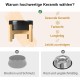 SPUNKYJUNKY Ceramic Raised Dog Bowl Set with Bamboo Stand for Cats and Dogs (850 ml, Grey)