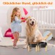 SPUNKYJUNKY Ceramic Raised Dog Bowl Set with Bamboo Stand for Cats and Dogs (850 ml, Grey)