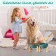 SPUNKYJUNKY Ceramic Raised Dog Bowl Set with Bamboo Stand for Cats and Dogs (850 ml, Grey)
