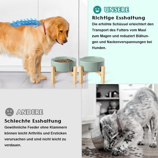 SPUNKYJUNKY Ceramic Raised Dog Bowl Set with Bamboo Stand for Cats and Dogs (850 ml, Grey) SPUNKYJUNKY Ceramic Raised Dog Bowl Set with Bamboo Stand for Cats and Dogs (850 ml, Grey)