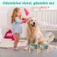 SPUNKYJUNKY Ceramic Raised Dog Bowl Set with Bamboo Stand for Cats and Dogs (850 ml, Grey)