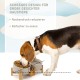 SPUNKYJUNKY Tilting Dog Bowl Ceramic Double Dog Feeding Bowl with Bamboo Stand 0° and 15° Tilt Angle for Pets Cats and Puppies Large Face Dog (850 ml, Grey × 2) SPUNKYJUNKY Tilting Dog Bowl Ceramic Double Dog Feeding Bowl with Bamboo Stand 0° and 15° Tilt Angle for Pets Cats and Puppies Large Face Dog (850 ml, Grey × 2)