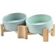 SPUNKYJUNKY Tilting Dog Bowl Ceramic Double Dog Feeding Bowl with Bamboo Stand 0° and 15° Tilt Angle for Pets Cats and Puppies Large Face Dog (850 ml, Grey × 2) SPUNKYJUNKY Tilting Dog Bowl Ceramic Double Dog Feeding Bowl with Bamboo Stand 0° and 15° Tilt Angle for Pets Cats and Puppies Large Face Dog (850 ml, Grey × 2)
