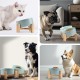 SPUNKYJUNKY Tilting Dog Bowl Ceramic Double Dog Feeding Bowl with Bamboo Stand 0° and 15° Tilt Angle for Pets Cats and Puppies Large Face Dog (850 ml, Grey × 2) SPUNKYJUNKY Tilting Dog Bowl Ceramic Double Dog Feeding Bowl with Bamboo Stand 0° and 15° Tilt Angle for Pets Cats and Puppies Large Face Dog (850 ml, Grey × 2)