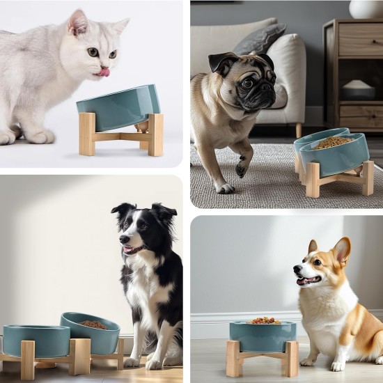 SPUNKYJUNKY Tilting Dog Bowl Ceramic Double Dog Feeding Bowl with Bamboo Stand 0° and 15° Tilt Angle for Pets Cats and Puppies Large Face Dog (850 ml, Grey × 2) SPUNKYJUNKY Tilting Dog Bowl Ceramic Double Dog Feeding Bowl with Bamboo Stand 0° and 15° Tilt Angle for Pets Cats and Puppies Large Face Dog (850 ml, Grey × 2)