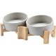 SPUNKYJUNKY Tilting Dog Bowl Ceramic Double Dog Feeding Bowl with Bamboo Stand 0° and 15° Tilt Angle for Pets Cats and Puppies Large Face Dog (850 ml, Grey × 2) SPUNKYJUNKY Tilting Dog Bowl Ceramic Double Dog Feeding Bowl with Bamboo Stand 0° and 15° Tilt Angle for Pets Cats and Puppies Large Face Dog (850 ml, Grey × 2)
