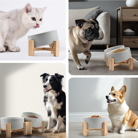 SPUNKYJUNKY Tilting Dog Bowl Ceramic Double Dog Feeding Bowl with Bamboo Stand 0° and 15° Tilt Angle for Pets Cats and Puppies Large Face Dog (850 ml, Grey × 2) SPUNKYJUNKY Tilting Dog Bowl Ceramic Double Dog Feeding Bowl with Bamboo Stand 0° and 15° Tilt Angle for Pets Cats and Puppies Large Face Dog (850 ml, Grey × 2)