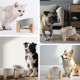 SPUNKYJUNKY Tilting Dog Bowl Ceramic Double Dog Feeding Bowl with Bamboo Stand 0° and 15° Tilt Angle for Pets Cats and Puppies Large Face Dog (850 ml, Grey × 2) SPUNKYJUNKY Tilting Dog Bowl Ceramic Double Dog Feeding Bowl with Bamboo Stand 0° and 15° Tilt Angle for Pets Cats and Puppies Large Face Dog (850 ml, Grey × 2)