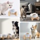 SPUNKYJUNKY Tilting Dog Bowl Ceramic Double Dog Feeding Bowl with Bamboo Stand 0° and 15° Tilt Angle for Pets Cats and Puppies Large Face Dog (850 ml, Grey × 2) SPUNKYJUNKY Tilting Dog Bowl Ceramic Double Dog Feeding Bowl with Bamboo Stand 0° and 15° Tilt Angle for Pets Cats and Puppies Large Face Dog (850 ml, Grey × 2)