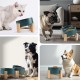 SPUNKYJUNKY Tilting Dog Bowl Ceramic Double Dog Feeding Bowl with Bamboo Stand 0° and 15° Tilt Angle for Pets Cats and Puppies Large Face Dog (850 ml, Grey × 2) SPUNKYJUNKY Tilting Dog Bowl Ceramic Double Dog Feeding Bowl with Bamboo Stand 0° and 15° Tilt Angle for Pets Cats and Puppies Large Face Dog (850 ml, Grey × 2)