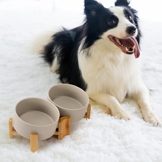 SPUNKYJUNKY Tilting Dog Bowl Ceramic Double Dog Feeding Bowl with Bamboo Stand 0° and 15° Tilt Angle for Pets Cats and Puppies Large Face Dog (850 ml, Grey × 2) SPUNKYJUNKY Tilting Dog Bowl Ceramic Double Dog Feeding Bowl with Bamboo Stand 0° and 15° Tilt Angle for Pets Cats and Puppies Large Face Dog (850 ml, Grey × 2)