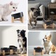 SPUNKYJUNKY Tilting Dog Bowl Ceramic Double Dog Feeding Bowl with Bamboo Stand 0° and 15° Tilt Angle for Pets Cats and Puppies Large Face Dog (850 ml, Grey × 2) SPUNKYJUNKY Tilting Dog Bowl Ceramic Double Dog Feeding Bowl with Bamboo Stand 0° and 15° Tilt Angle for Pets Cats and Puppies Large Face Dog (850 ml, Grey × 2)