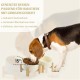 SPUNKYJUNKY Tilting Dog Bowl Ceramic Double Dog Feeding Bowl with Bamboo Stand 0° and 15° Tilt Angle for Pets Cats and Puppies Large Face Dog (850 ml, Grey × 2) SPUNKYJUNKY Tilting Dog Bowl Ceramic Double Dog Feeding Bowl with Bamboo Stand 0° and 15° Tilt Angle for Pets Cats and Puppies Large Face Dog (850 ml, Grey × 2)
