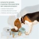 SPUNKYJUNKY Tilting Dog Bowl Ceramic Double Dog Feeding Bowl with Bamboo Stand 0° and 15° Tilt Angle for Pets Cats and Puppies Large Face Dog (850 ml, Grey × 2) SPUNKYJUNKY Tilting Dog Bowl Ceramic Double Dog Feeding Bowl with Bamboo Stand 0° and 15° Tilt Angle for Pets Cats and Puppies Large Face Dog (850 ml, Grey × 2)