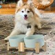 SPUNKYJUNKY Tilting Dog Bowl Ceramic Double Dog Feeding Bowl with Bamboo Stand 0° and 15° Tilt Angle for Pets Cats and Puppies Large Face Dog (850 ml, Grey × 2) SPUNKYJUNKY Tilting Dog Bowl Ceramic Double Dog Feeding Bowl with Bamboo Stand 0° and 15° Tilt Angle for Pets Cats and Puppies Large Face Dog (850 ml, Grey × 2)