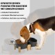 SPUNKYJUNKY Tilting Dog Bowl Ceramic Double Dog Feeding Bowl with Bamboo Stand 0° and 15° Tilt Angle for Pets Cats and Puppies Large Face Dog (850 ml, Grey × 2) SPUNKYJUNKY Tilting Dog Bowl Ceramic Double Dog Feeding Bowl with Bamboo Stand 0° and 15° Tilt Angle for Pets Cats and Puppies Large Face Dog (850 ml, Grey × 2)