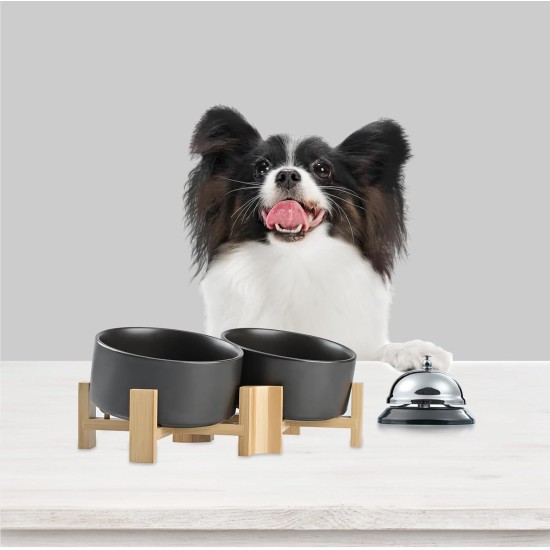 SPUNKYJUNKY Tilting Dog Bowl Ceramic Double Dog Feeding Bowl with Bamboo Stand 0° and 15° Tilt Angle for Pets Cats and Puppies Large Face Dog (850 ml, Grey × 2) SPUNKYJUNKY Tilting Dog Bowl Ceramic Double Dog Feeding Bowl with Bamboo Stand 0° and 15° Tilt Angle for Pets Cats and Puppies Large Face Dog (850 ml, Grey × 2)