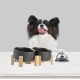 SPUNKYJUNKY Tilting Dog Bowl Ceramic Double Dog Feeding Bowl with Bamboo Stand 0° and 15° Tilt Angle for Pets Cats and Puppies Large Face Dog (850 ml, Grey × 2) SPUNKYJUNKY Tilting Dog Bowl Ceramic Double Dog Feeding Bowl with Bamboo Stand 0° and 15° Tilt Angle for Pets Cats and Puppies Large Face Dog (850 ml, Grey × 2)