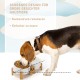 SPUNKYJUNKY Tilting Dog Bowl Ceramic Double Dog Feeding Bowl with Bamboo Stand 0° and 15° Tilt Angle for Pets Cats and Puppies Large Face Dog (850 ml, Grey × 2) SPUNKYJUNKY Tilting Dog Bowl Ceramic Double Dog Feeding Bowl with Bamboo Stand 0° and 15° Tilt Angle for Pets Cats and Puppies Large Face Dog (850 ml, Grey × 2)