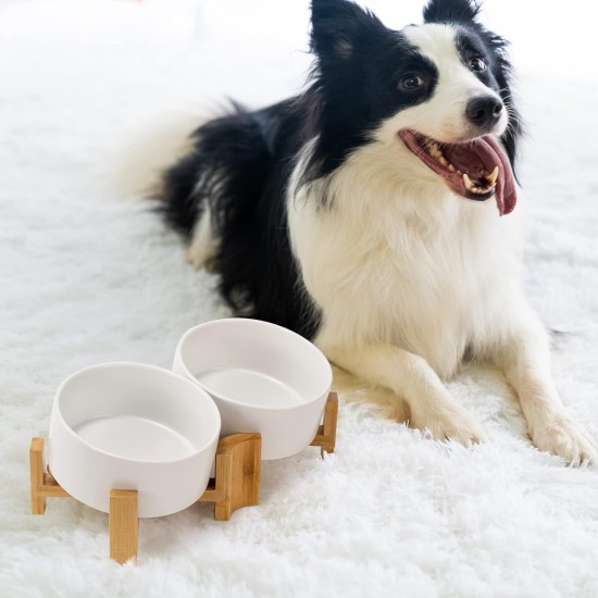 SPUNKYJUNKY Tilting Dog Bowl Ceramic Double Dog Feeding Bowl with Bamboo Stand 0° and 15° Tilt Angle for Pets Cats and Puppies Large Face Dog (850 ml, Grey × 2) SPUNKYJUNKY Tilting Dog Bowl Ceramic Double Dog Feeding Bowl with Bamboo Stand 0° and 15° Tilt Angle for Pets Cats and Puppies Large Face Dog (850 ml, Grey × 2)