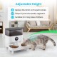 Sailnovo Automatic Feeder for Two Cats, Pet Dry Food Dispenser with Two Stainless Steel Bowls, 10s Voice Reminder, up to 80 Servings and 4 Meals a Day for Cat and Dog, White, 5 L