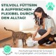 Set of 3 Raised Feeding Bowls, Ergonomic Feeding Bowl, Drinking Bowl, Double Feeding Bowl, Cat Bowl, Dog Bowl, Ceramic Feeding Bowl, Dog Feeding Bowl Set of 3 Raised Feeding Bowls, Ergonomic Feeding Bowl, Drinking Bowl, Double Feeding Bowl, Cat Bowl, Dog Bowl, Ceramic Feeding Bowl, Dog Feeding Bowl