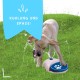Splash Water Fountain - Water Fun for Pets - Supplied with Two Nozzles - Drinking Water for Dogs - Drinking Fountain for Pets - Blue Splash Water Fountain - Water Fun for Pets - Supplied with Two Nozzles - Drinking Water for Dogs - Drinking Fountain for Pets - Blue