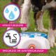 Splash Water Fountain - Water Fun for Pets - Supplied with Two Nozzles - Drinking Water for Dogs - Drinking Fountain for Pets - Blue Splash Water Fountain - Water Fun for Pets - Supplied with Two Nozzles - Drinking Water for Dogs - Drinking Fountain for Pets - Blue