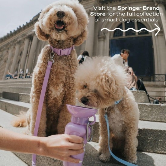 Springer Growler Travel Dog Water Bottle - 1.247.4g Large Dog Water Bottle with Patented Leakproof Design for Walking, Hiking and Travel, BPA Free Materials (Grey) Springer Growler Travel Dog Water Bottle - 1.247.4g Large Dog Water Bottle with Patented Leakproof Design for Walking, Hiking and Travel, BPA Free Materials (Grey)