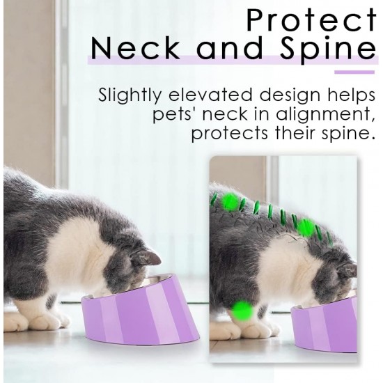 SuperDesign Dog Bowl 15 Degree Tilt, Slanted Cat Bowl, Tilted Raised Feeding Bowl, Raised Feeding Station, Non-Slip Melamine Stand SuperDesign Dog Bowl 15 Degree Tilt, Slanted Cat Bowl, Tilted Raised Feeding Bowl, Raised Feeding Station, Non-Slip Melamine Stand