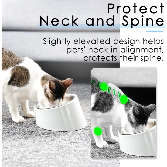 SuperDesign Dog Bowl 15 Degree Tilt, Slanted Cat Bowl, Tilted Raised Feeding Bowl, Raised Feeding Station, Non-Slip Melamine Stand SuperDesign Dog Bowl 15 Degree Tilt, Slanted Cat Bowl, Tilted Raised Feeding Bowl, Raised Feeding Station, Non-Slip Melamine Stand