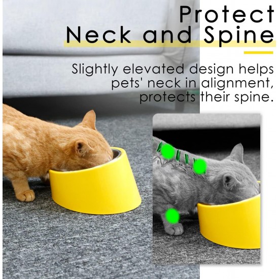 SuperDesign Dog Bowl 15 Degree Tilt, Slanted Cat Bowl, Tilted Raised Feeding Bowl, Raised Feeding Station, Non-Slip Melamine Stand SuperDesign Dog Bowl 15 Degree Tilt, Slanted Cat Bowl, Tilted Raised Feeding Bowl, Raised Feeding Station, Non-Slip Melamine Stand