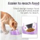 SuperDesign Dog Bowl 15 Degree Tilt, Slanted Cat Bowl, Tilted Raised Feeding Bowl, Raised Feeding Station, Non-Slip Melamine Stand
