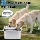 Svauoumu Dog Pool Automatic Dog Water Dispenser, 25 Litre Dog Water Outdoor Stainless Steel Water Bowl for Large Dogs, Large Dog Water Bowl, Stainless Steel Water Bowl (25 L) Svauoumu Dog Pool Automatic Dog Water Dispenser, 25 Litre Dog Water Outdoor Stainless Steel Water Bowl for Large Dogs, Large Dog Water Bowl, Stainless Steel Water Bowl (25 L)