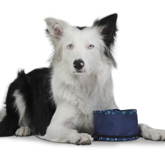 TOTTO - Vito Portable Dog Drinker, 3.79L Capacity, 15 x 10 cm, with Carabiner for Leash, Foldable with Zipper, Durable, Easy to Wash, Bone Pattern TOTTO - Vito Portable Dog Drinker, 3.79L Capacity, 15 x 10 cm, with Carabiner for Leash, Foldable with Zipper, Durable, Easy to Wash, Bone Pattern