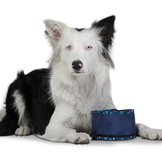 TOTTO - Vito Portable Dog Drinker, 3.79L Capacity, 15 x 10 cm, with Carabiner for Leash, Foldable with Zipper, Durable, Easy to Wash, Bone Pattern