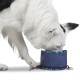 TOTTO - Vito Portable Dog Drinker, 3.79L Capacity, 15 x 10 cm, with Carabiner for Leash, Foldable with Zipper, Durable, Easy to Wash, Bone Pattern